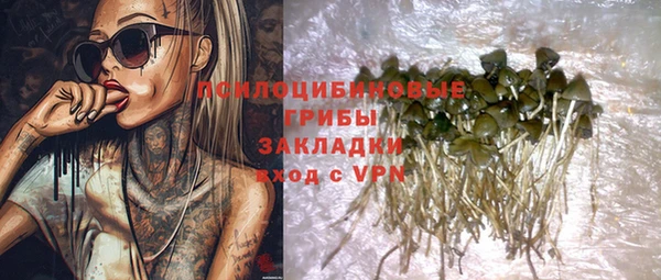 шишки Михайловка