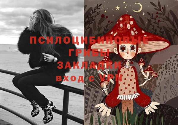 мяу мяу мука Медвежьегорск