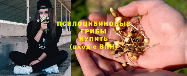 мяу мяу мука Медвежьегорск