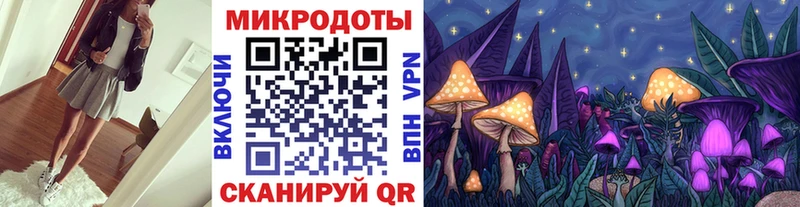 mega вход  Кировск  Псилоцибиновые грибы Psilocybine cubensis 