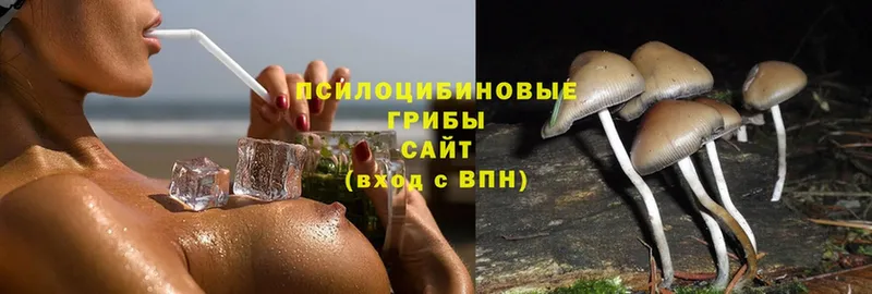 Псилоцибиновые грибы Magic Shrooms  Кировск 