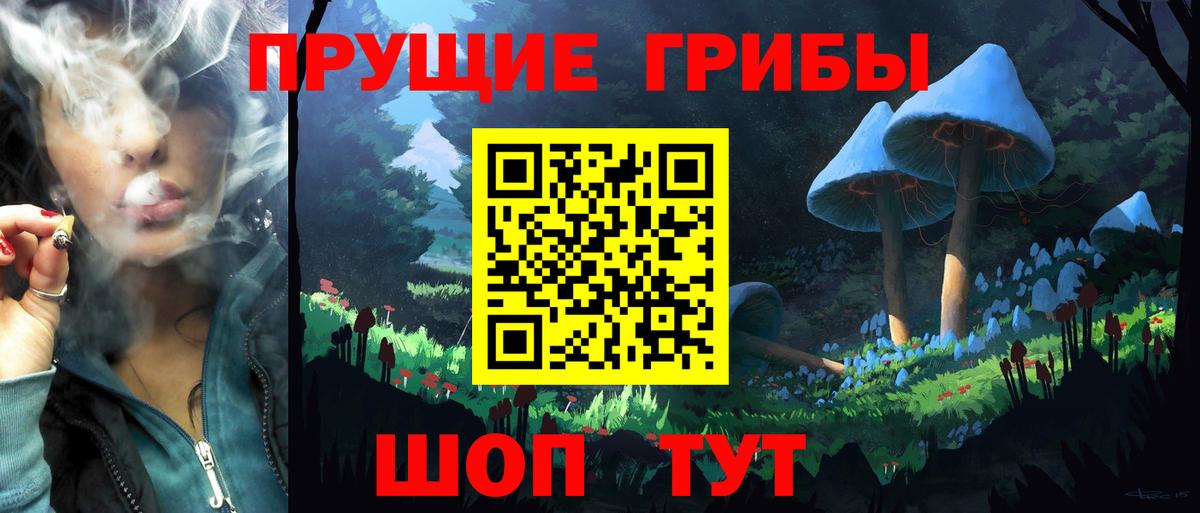 Псилоцибиновые грибы мухоморы  Вход с VPN  как найти   Кировск 
