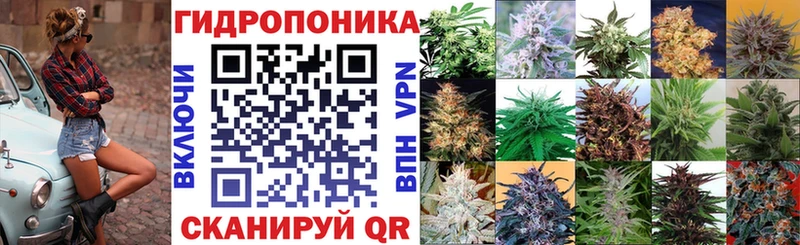 где купить Кировск Канабис VHQ